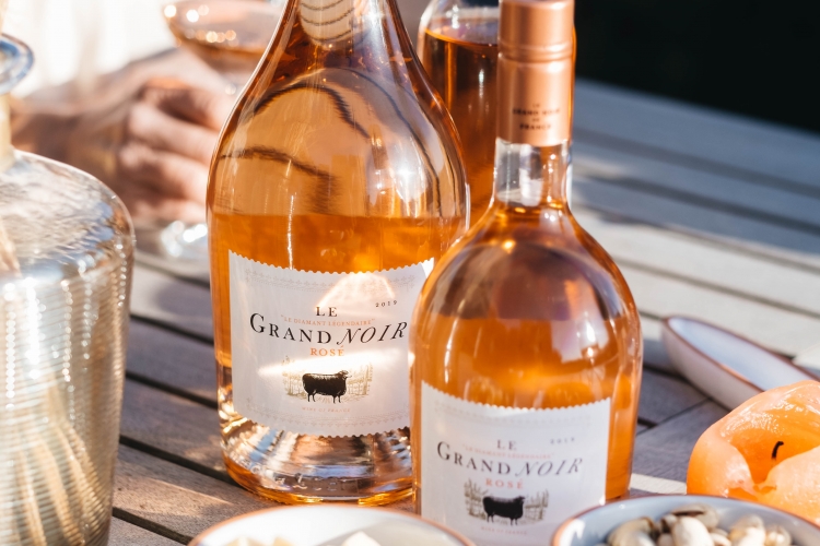 Geniet van verrassend gezellige momenten